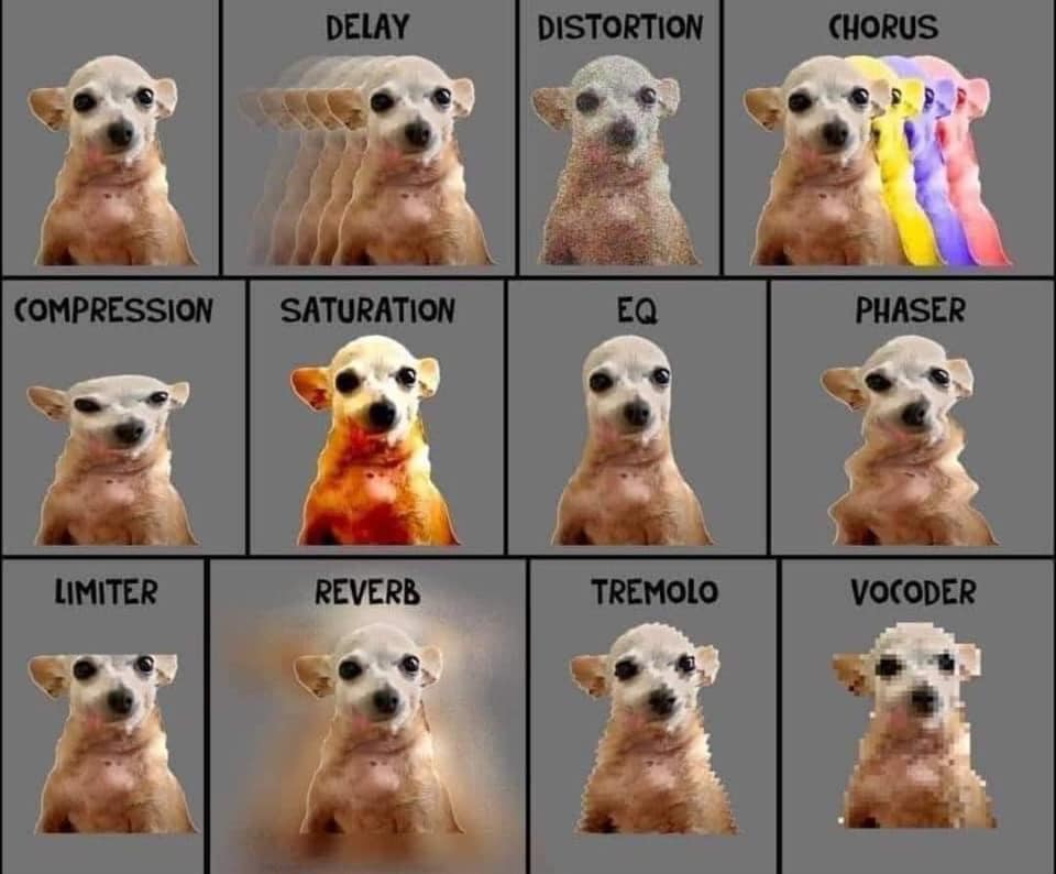 Grid of a chihuahua puppy photo edited to illustrate different audio effects: delay, distortion, chorus, compression, saturation, EQ, phaser, limiter, reverb, tremolo, and vocoder